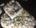 Fluorite, quartz et sidérite, Peyrebrune (France) 